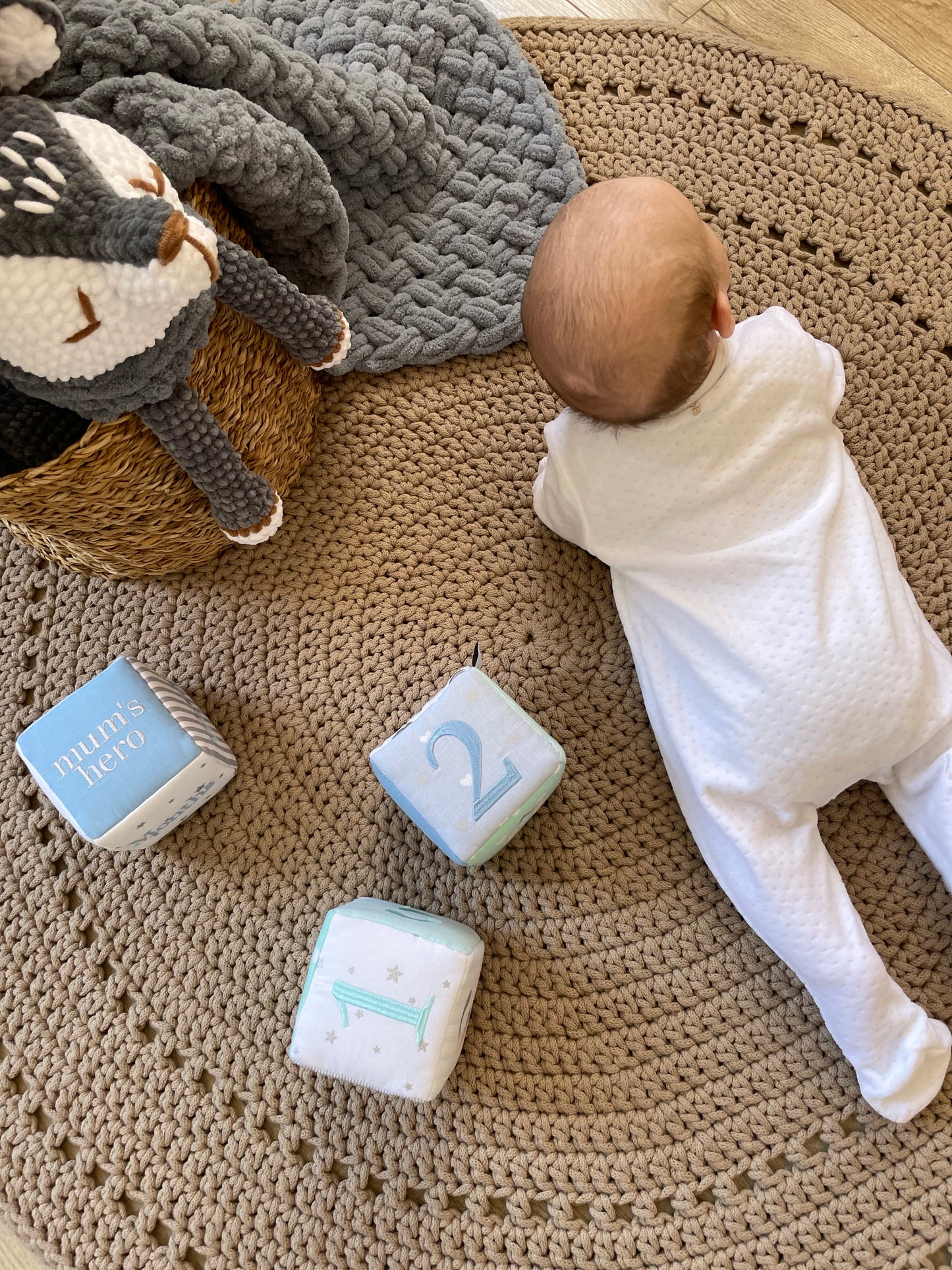 Baby milestone photo blocks