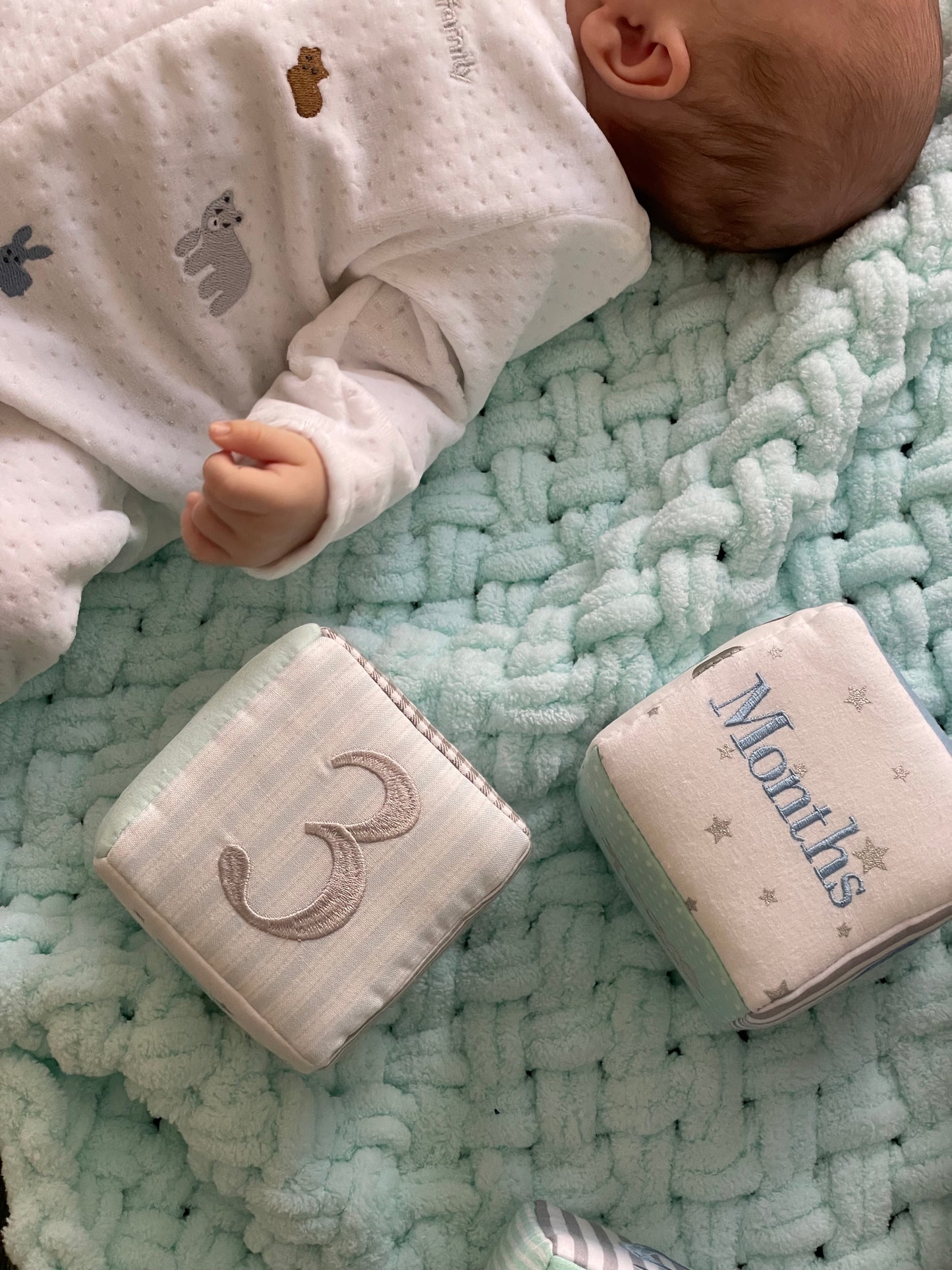 Baby milestone photo blocks